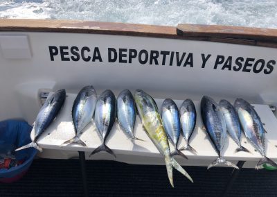 Charter de Pesca en Benalmádena Málaga (50)