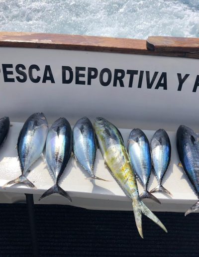 Charter de Pesca en Benalmádena Málaga (8)