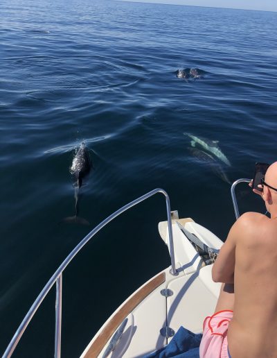 Foto Avistamiento de delfines - dolphin spotting Benalmádena Yo te espero (10)
