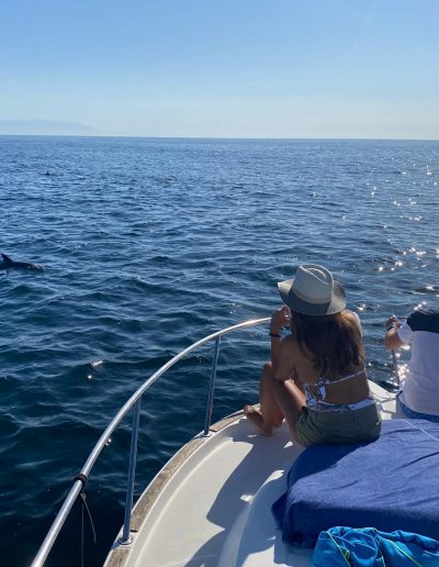 Foto Avistamiento de delfines - dolphin spotting Benalmádena Yo te espero (27)