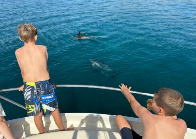 Únete a nosotros en el barco Yo Te Espero en Benalmádena y contempla la maravilla de los delfines en su hábitat natural, perfecto para familias con niños.
