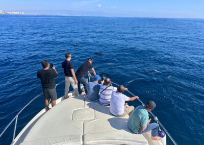 El Barco Yo Te Espero te lleva a disfrutar de los delfines en el mar Mediterráneo con salidas desde Puerto Marina